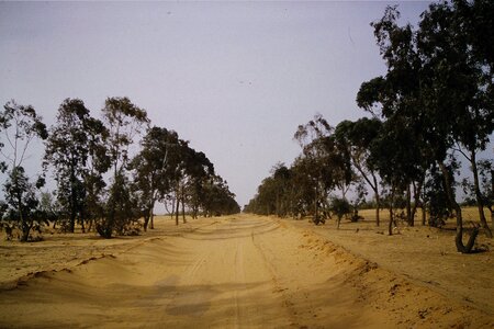 Rando Tunisie 1987, 0085_1987-04-03