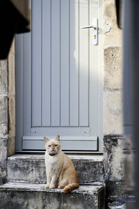 2024-09-28_sortie_portes_, 24_9_28_llp_sortie_portes_&_fenêtres_33_1_wordpress