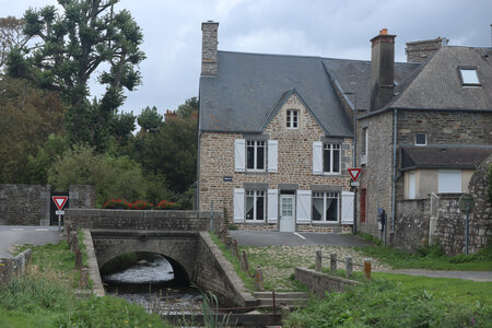 2023 09 18 De Champeaux à Saint-Quentin-sur-le-Homme, IMG_5860 Genêts