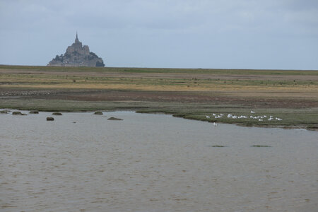 2023 09 19 De Saint-Quentin-sur-le-Homme au Mont-Saint-Michel, IMG_5920 Vue depuis la digue du polder de Saint-Avit