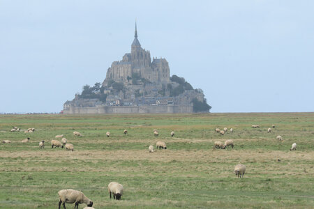 2023 09 19 De Saint-Quentin-sur-le-Homme au Mont-Saint-Michel, IMG_5921 Vue depuis la digue du polder de Saint-Avit